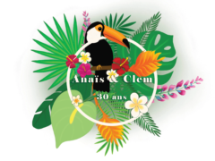 Illustration toucan - Anaïs Clavel, designer graphique