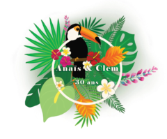 Illustration toucan - Anaïs Clavel, designer graphique