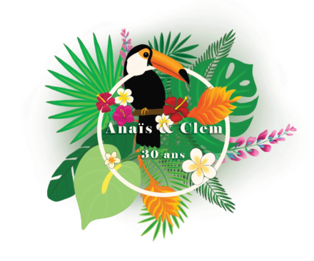 Illustration toucan - Anaïs Clavel, designer graphique