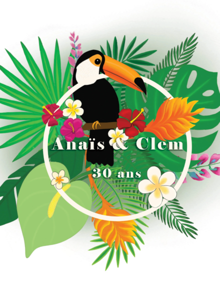 Illustration toucan - Anaïs Clavel, designer graphique