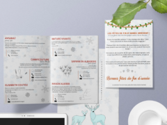 Plaquette présentation Commerces et services de la ville de Penne - Anaïs Clavel