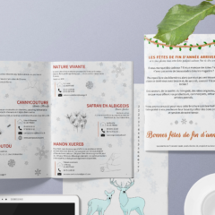 Plaquette présentation Commerces et services de la ville de Penne - Anaïs Clavel