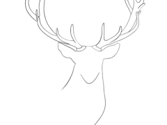 illustration minimaliste cerf