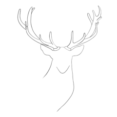 illustration minimaliste cerf