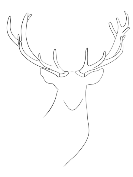 illustration minimaliste cerf