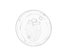 Day 14 : armor - Intkober 2020