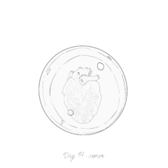 Day 14 : armor - Intkober 2020