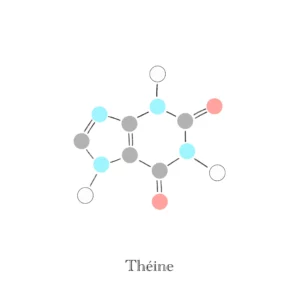 Théine, molécule - Illustration Anaïs Clavel