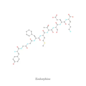 Endorphine, molécule - Illustration Anaïs Clavel