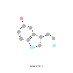 Sérotonine, molécule - Illustration Anaïs Clavel