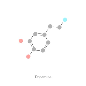 Dopamine, molécule - Illustration Anaïs Clavel