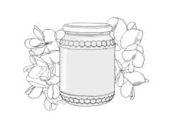 Miel d'acacia - commerces et services de Penne - Illustration Anaïs Clavel