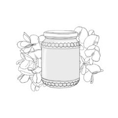 Miel d'acacia - commerces et services de Penne - Illustration Anaïs Clavel