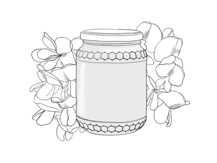 Miel d'acacia - commerces et services de Penne - Illustration Anaïs Clavel