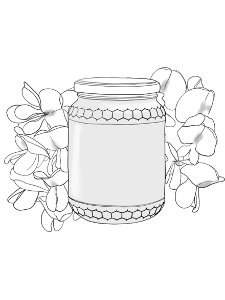 Miel d'acacia - commerces et services de Penne - Illustration Anaïs Clavel